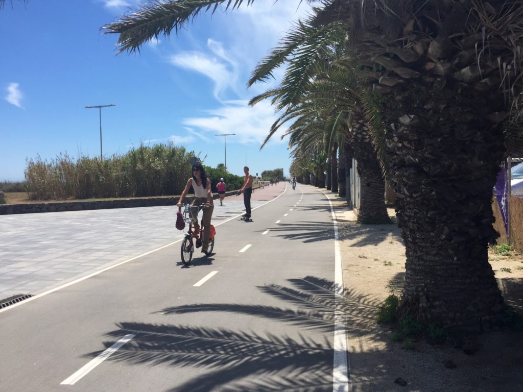 Cycling under palm trees Barcelona
