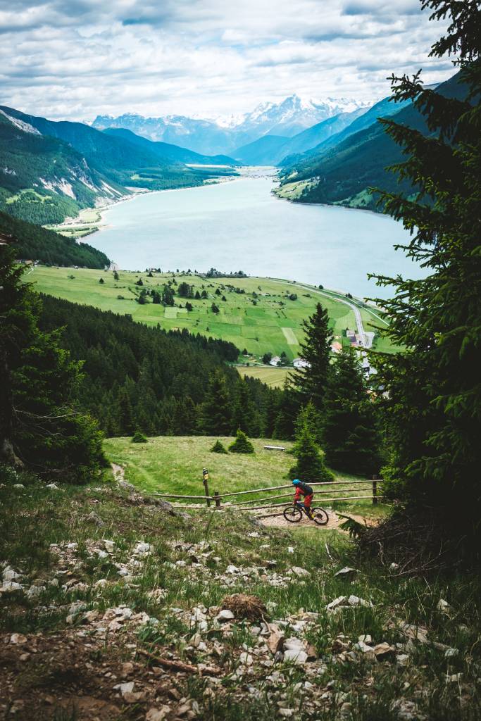 Alps Bike
