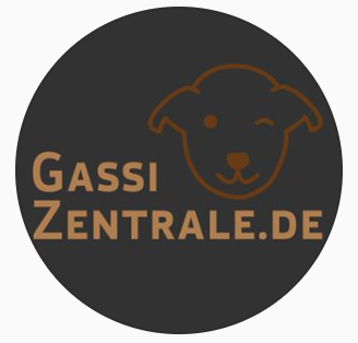 gassizentrale logo